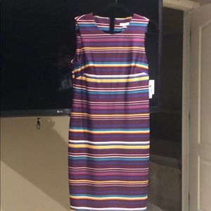 Calvin Klein dress